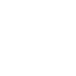 Northsline logo mark